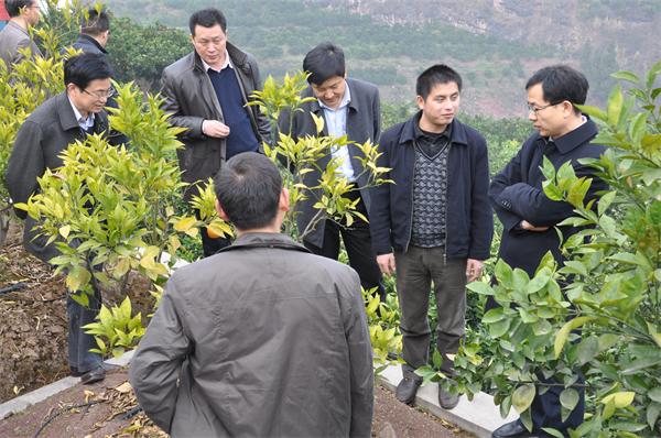 国务院三峡办水库司王殿常副司长一行到秭归站考察工作