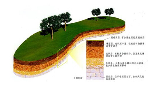 土壤分层剖面图片